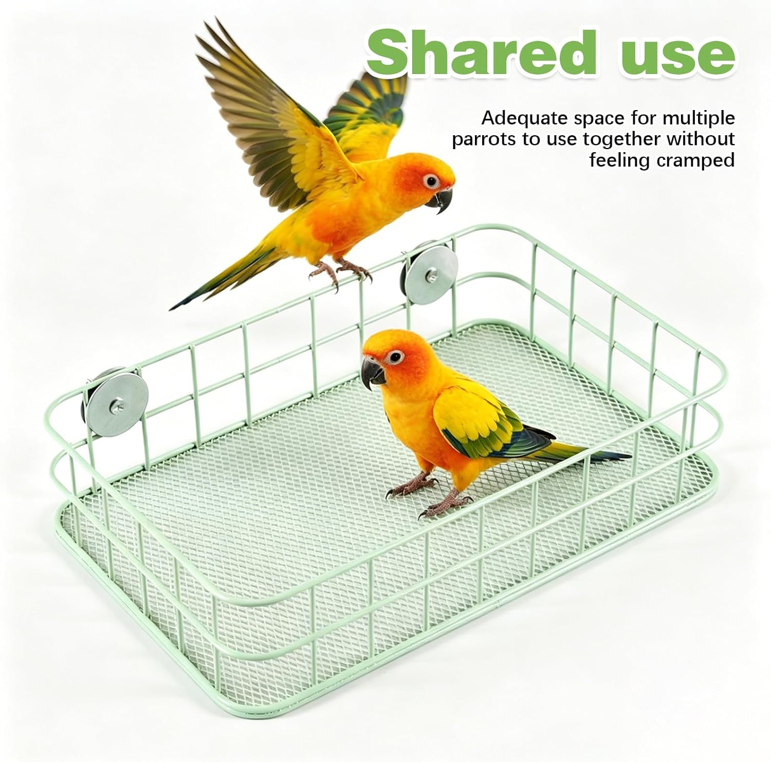 Bird Perch Platform Stainless Steel Birds Perches with Coconut Fiber Nest Pad,Open-Grid Easy Clean Parrot Perch Stand,for Small and Medium Birds(9.8“x6.3”x2.4”Green)