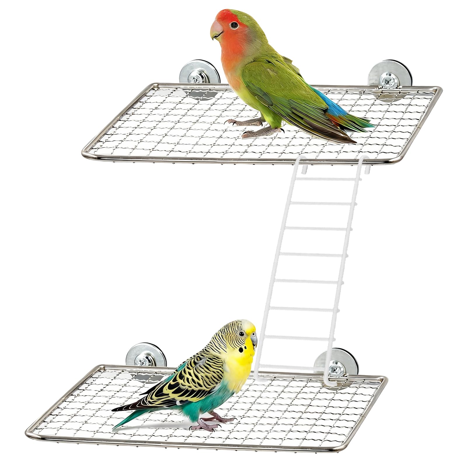 Bird Perch Platform Stainless Steel Birds Perches with Coconut Fiber Nest Pad,Open-Grid Easy Clean Parrot Perch Stand,for Small and Medium Birds(9.8“x6.3”x2.4”Green)