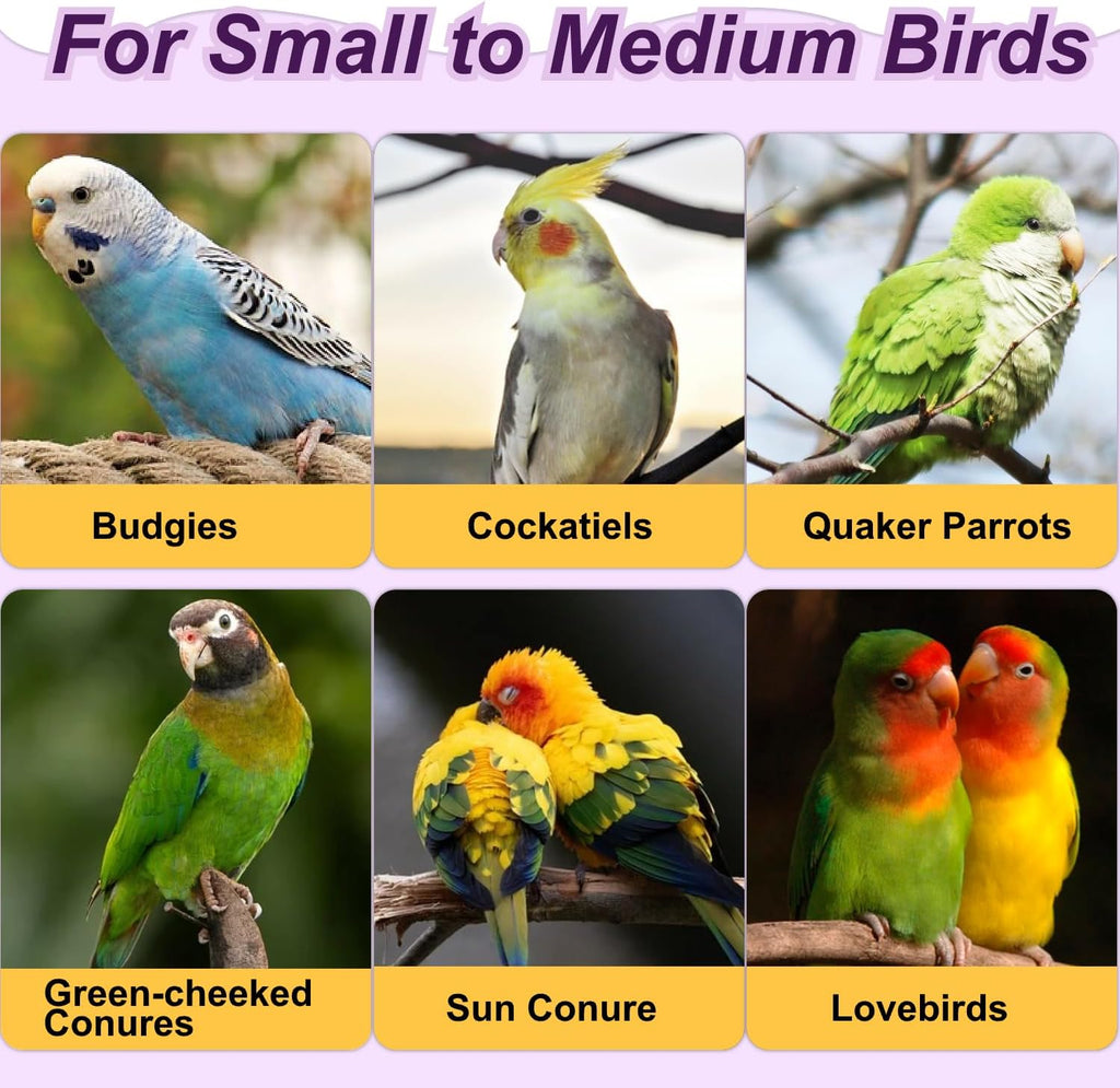 3-Ring Bird Wooden Swing with Bell Climbing Toy Chewable Cotton Rope Perch for Cage Cockatiels Budgies Parakeets Lovebirds 17 Inch