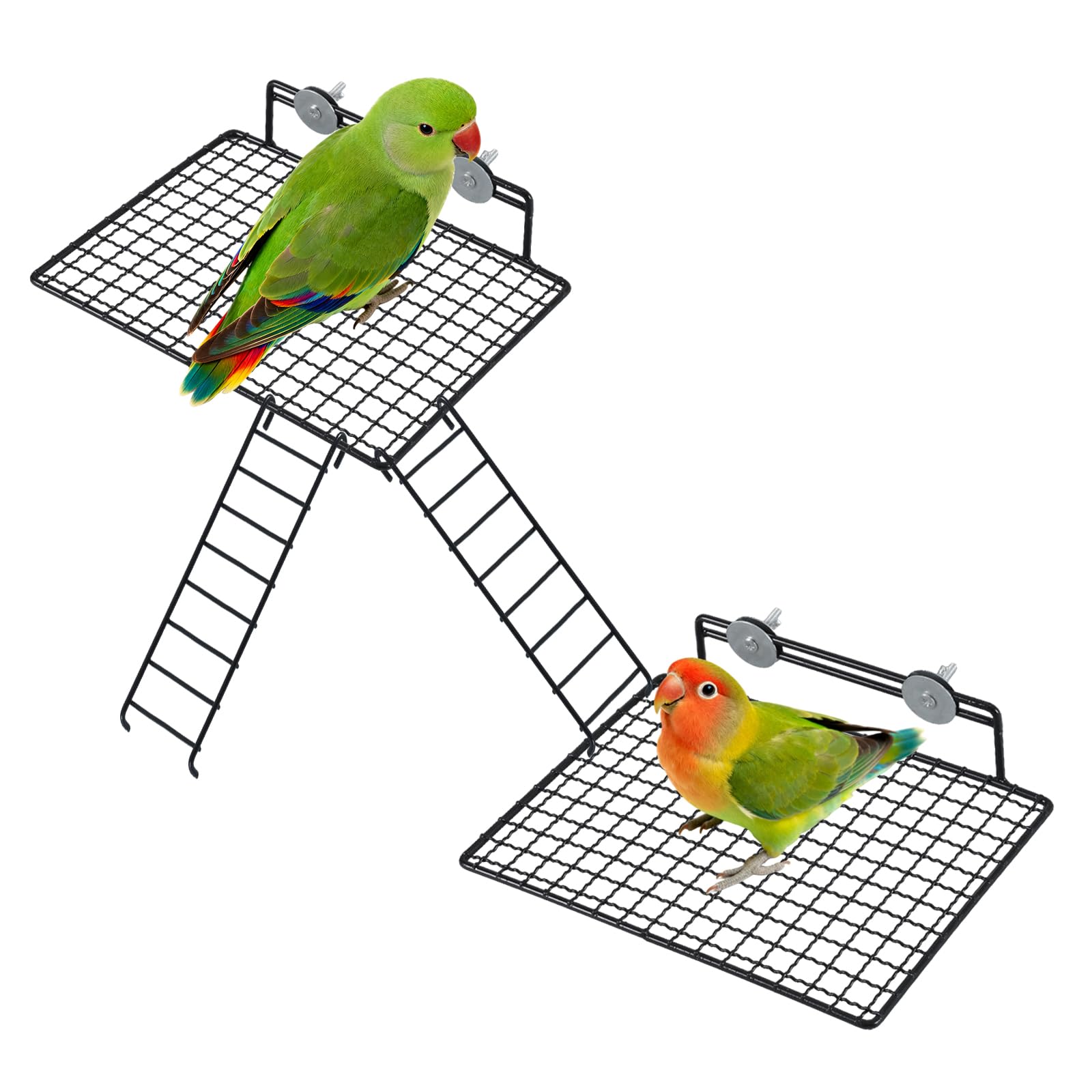 Bird Perch Platform Stainless Steel Birds Perches with Coconut Fiber Nest Pad,Open-Grid Easy Clean Parrot Perch Stand,for Small and Medium Birds(9.8“x6.3”x2.4”Green)