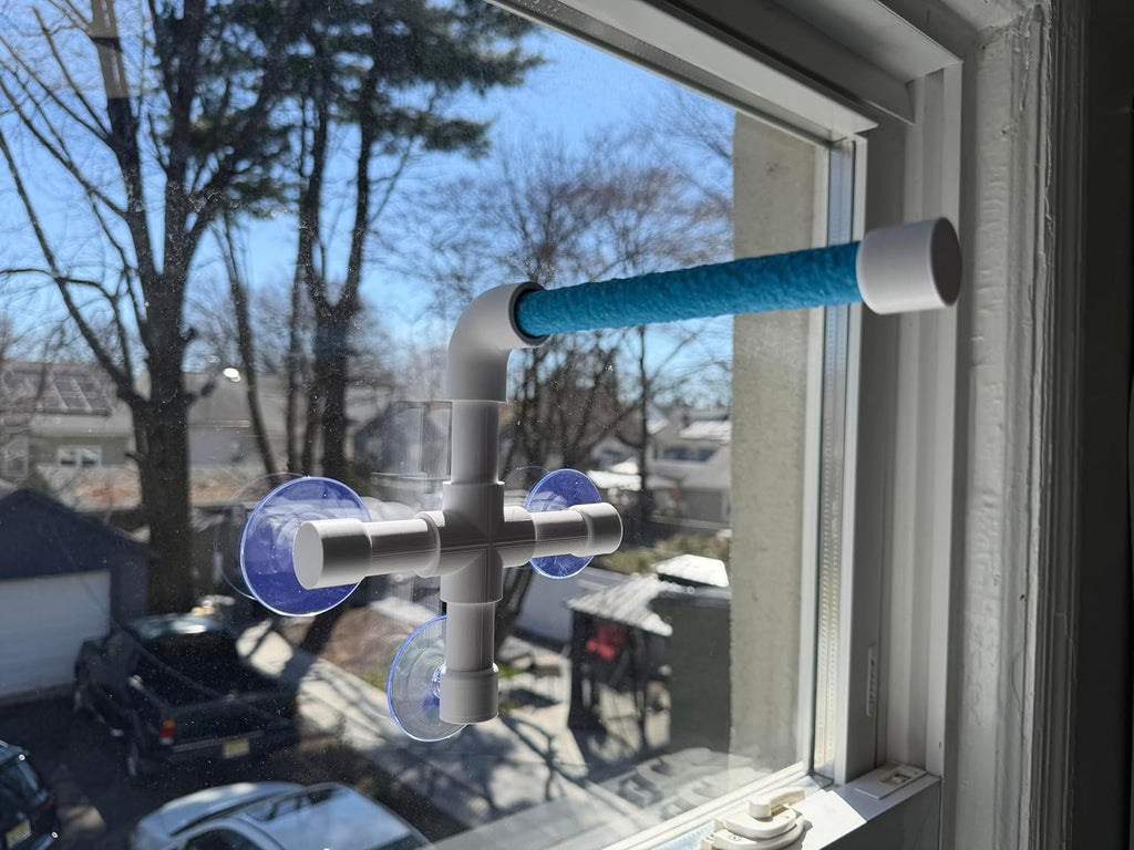 CleanPerch™ Window Bird Perch with Suction Cups. Grooming & Outside Viewing Perch for Parrots, Conures & Small Birds. Window-Mounted Bird Stand (Blue, 6")